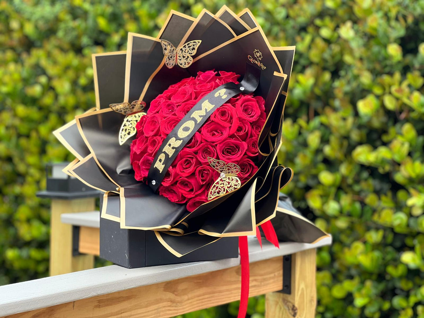 Ramo Buchon Graduation-Wellington, West Palm Beach & Palm Beach County