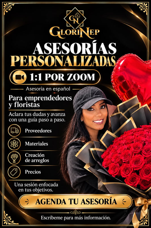 Asesorias 1:1